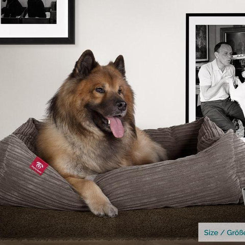 Unsere Hundebett sind in vielen luxuriösen Stoffen und zahlreiche Farben erhältlich.