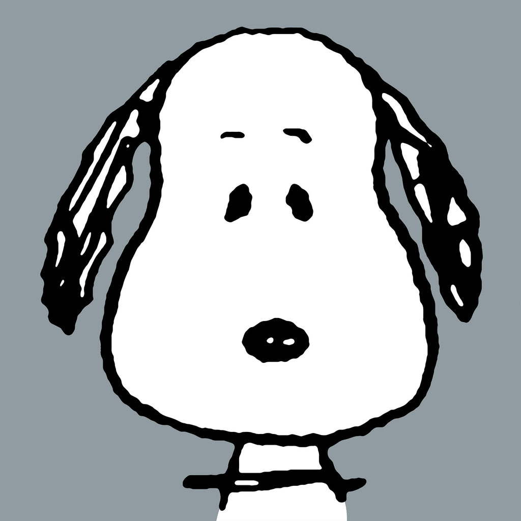 Peanuts Großer Snoopy Lesekissen mit Rückenstütze für Kinder ...