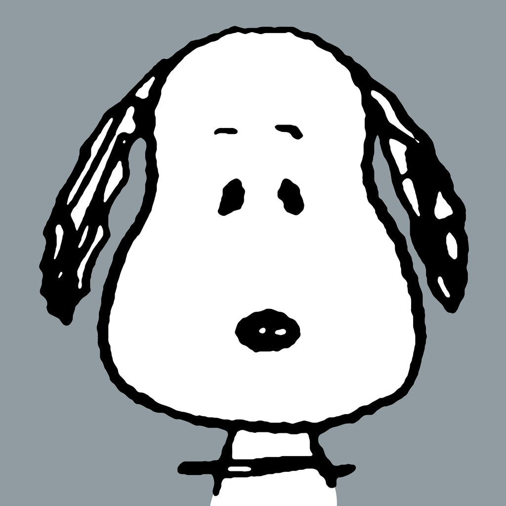 Snoopy Lesekissen mit Rückenstütze für Kinder - Großer Snoopy 03