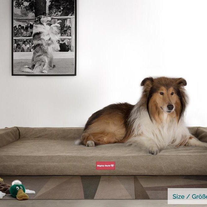 "Die Hundecouch Von Mighty-Bark" Orthopädische Hundesofa, Hundecouch, Klein - XXL - Stonewashed-stoff Erde