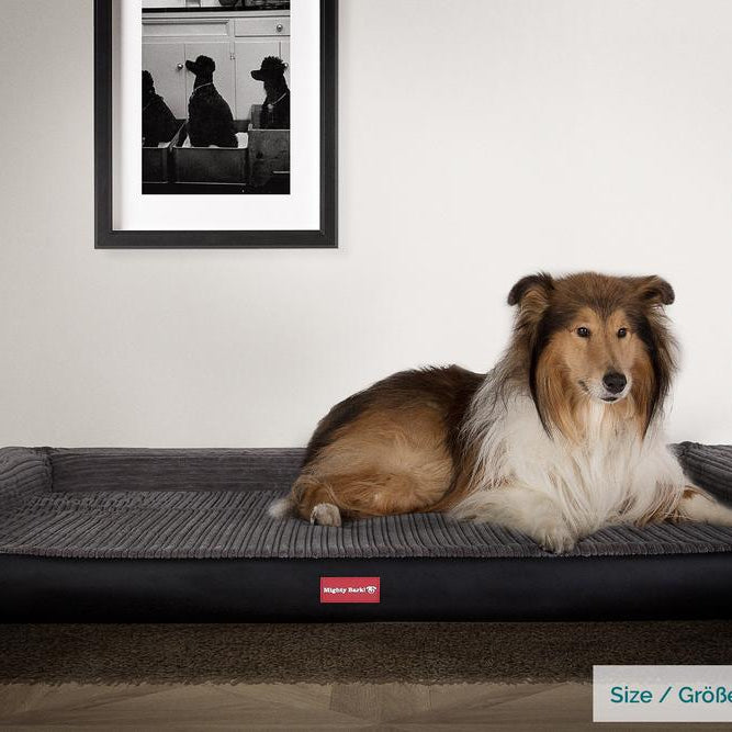"Die Hundecouch Von Mighty-Bark" Orthopädische Hundesofa, Hundecouch, Klein - XXL - Kunstleder Schwarz