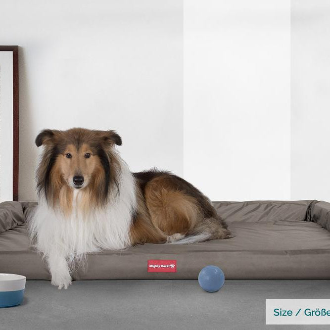 "Die Hundecouch Von Mighty-Bark" Orthopädische Hundesofa, Hundecouch, Klein - XXL - Wasserfest Grau