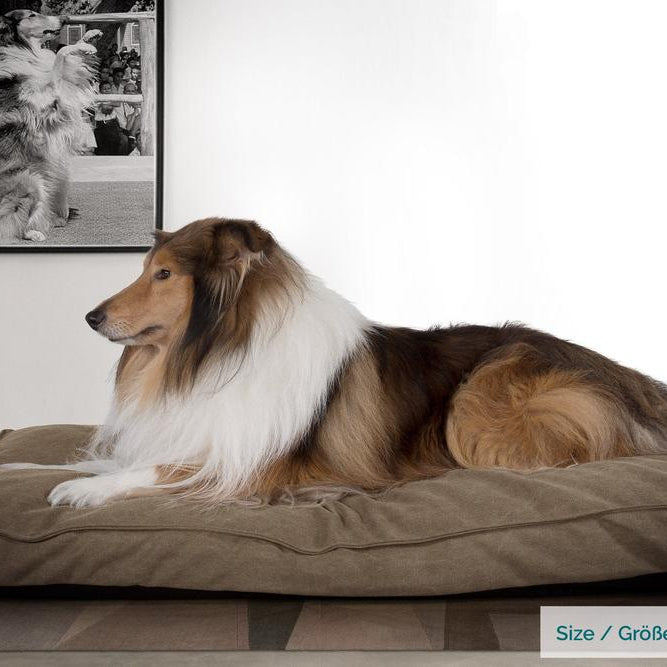 "Die Matratze Von Mighty-Bark" - Orthopädische Hundekissen, Hundebett, Klein - XXL - Stonewashed-stoff Erde