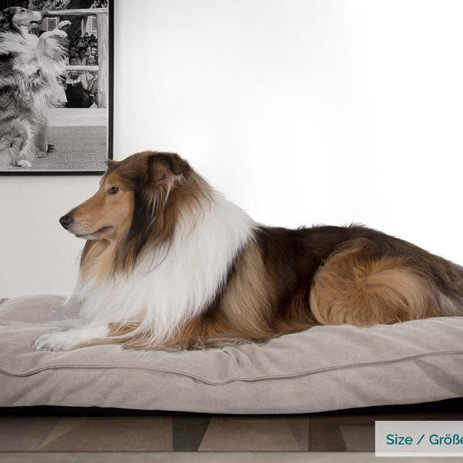 "Die Matratze Von Mighty-Bark" - Orthopädische Hundekissen, Hundebett, Klein - XXL - Stonewashed-stoff Grau