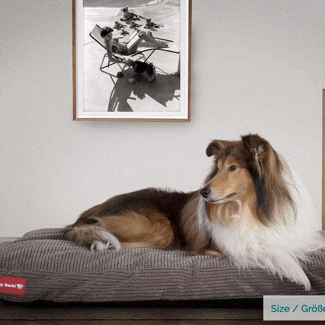 "Die Matratze Von Mighty-Bark" - Orthopädische Hundekissen, Hundebett, Klein - XXL - Pom-Pom Anthrazit
