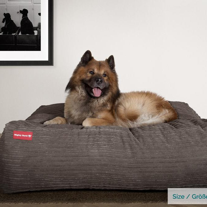 MB Crash Pad Dog Bed - Cord Graphite - Large