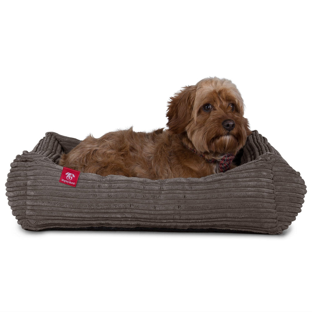 "Das Nest Von Mighty-Bark" - Orthopädische Hundekörbchen, Hundebett, Hundesofa, Klein - XXL - Cord Graphit