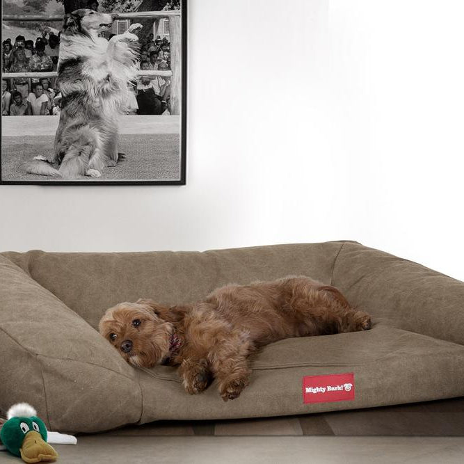 "Das Sofa Von Mighty-Bark" - Orthopädische Hundesofa, Hundebett,  Klein - XXL - Stonewashed-stoff Erde