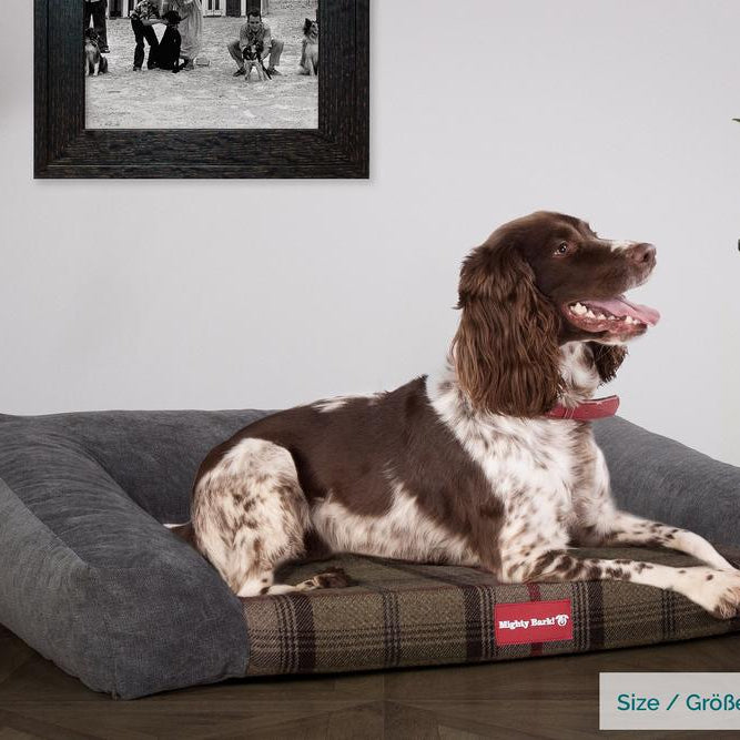 "Das Sofa Von Mighty-Bark" - Orthopädische Hundesofa, Hundebett,  Klein - XXL - Karo Kaki