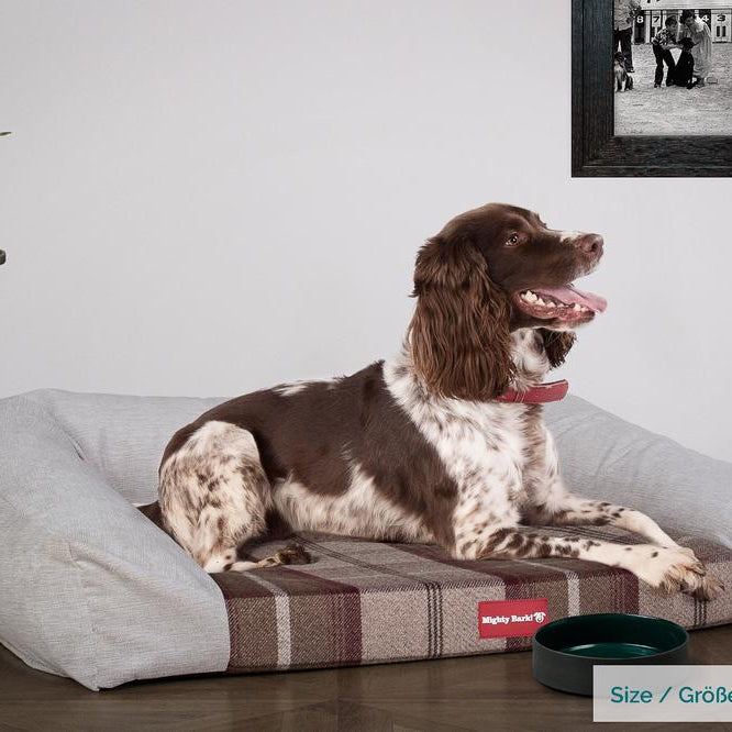 "Das Sofa Von Mighty-Bark" - Orthopädische Hundesofa, Hundebett,  Klein - XXL - Karo Dunkelviolett